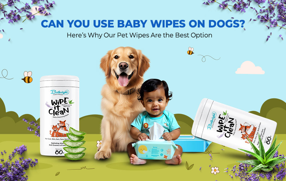 Can You Use Baby Wipes on Dogs? Here’s Why Our Pet Wipes Are the Best