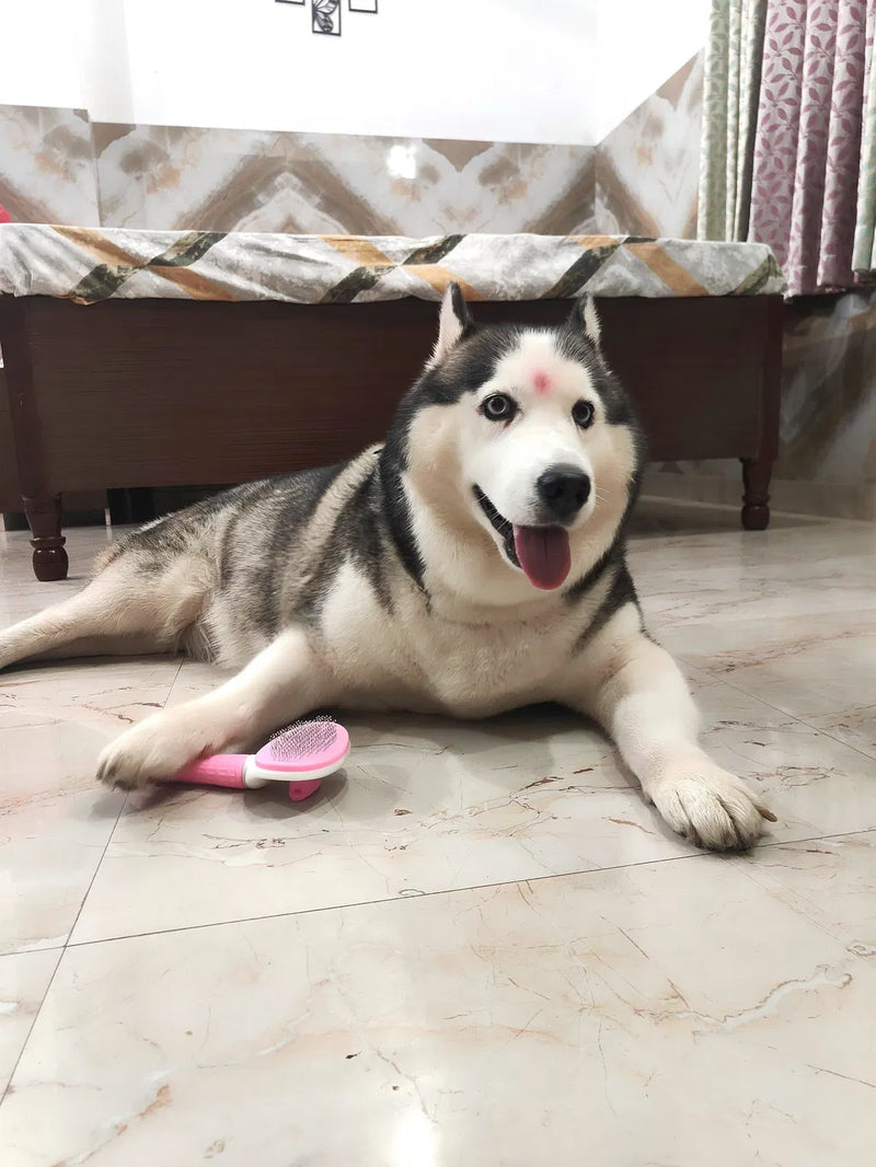 Best grooming brush