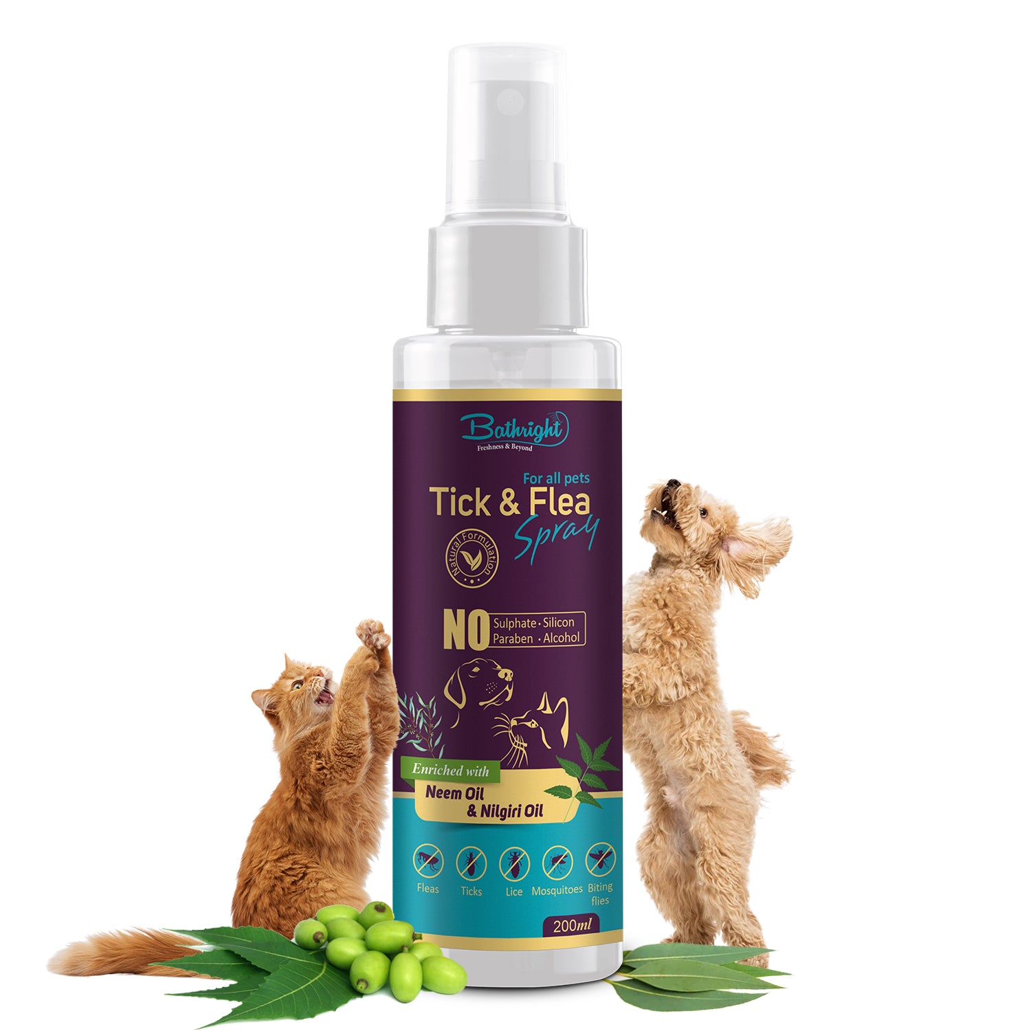 Anti flea best sale spray