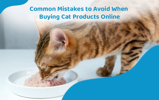 Common Mistakes to Avoid When Buying Cat Products Online