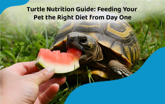 Turtle Food