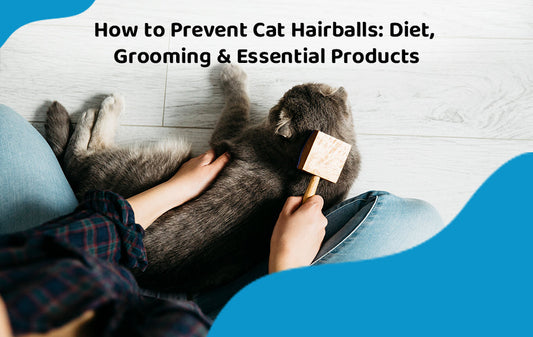 How to Prevent Cat Hairballs: Diet, Grooming & Essential Products