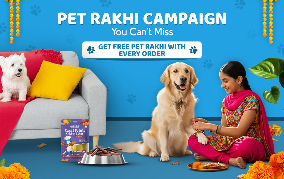 Pet Rakhi Campaign You Can’t Miss This Festive Season