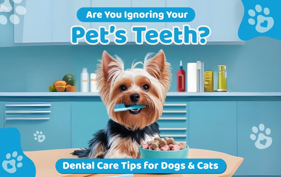best dental chews for dog