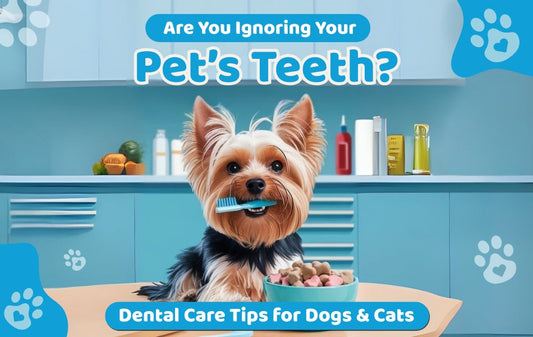 best dental chews for dog