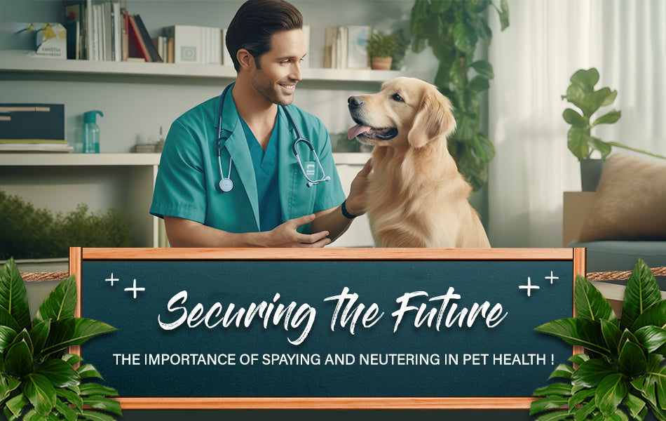 spaying and neutering