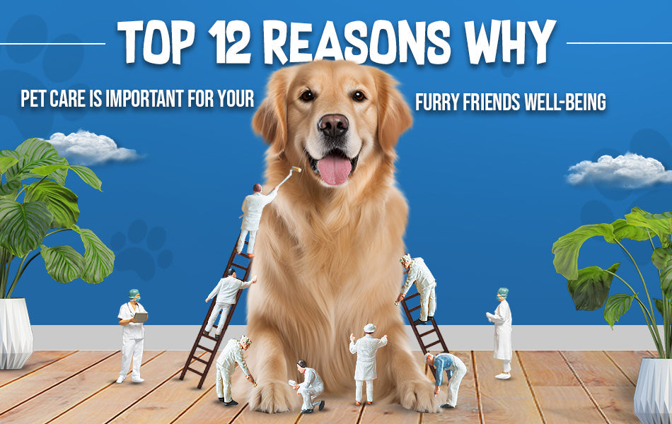 pet care