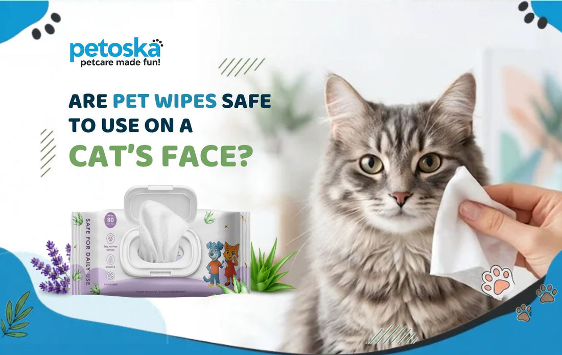 Are Pet Wipes Safe to Use on a Cat's Face?