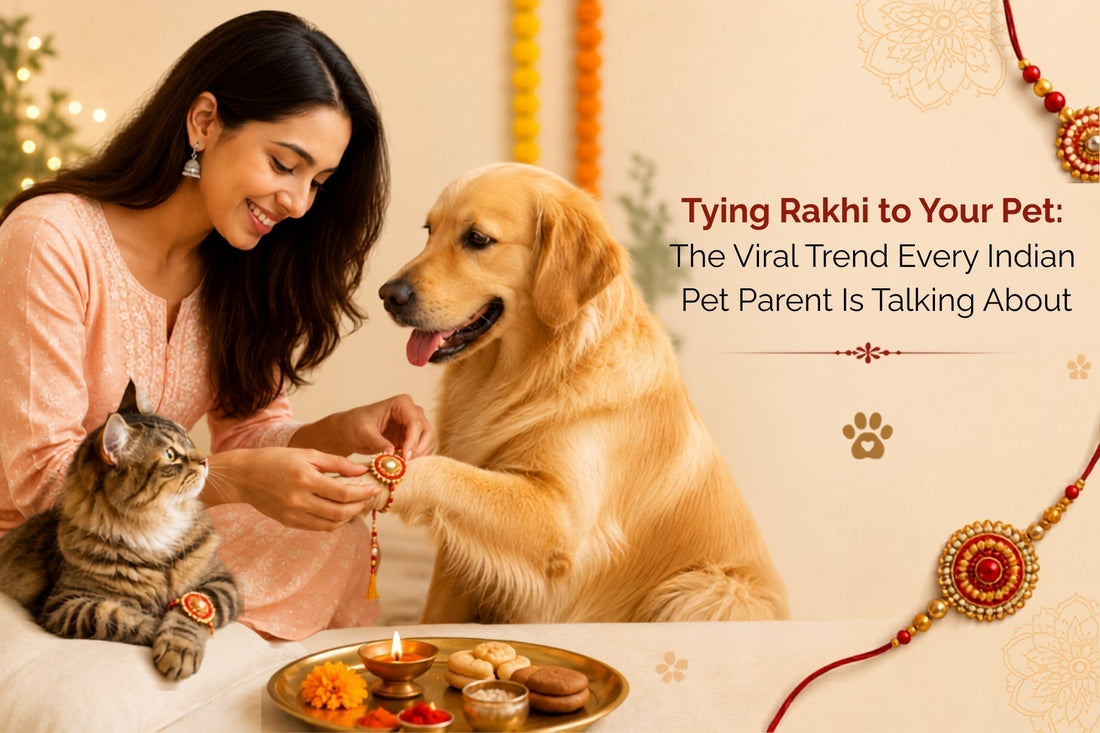Tying Rakhi to Your Pet: The Viral Trend Every Indian Pet Parent Is Talking About