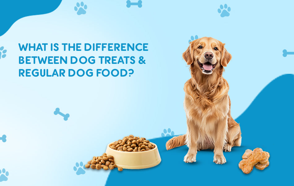 What Is the Difference Between Dog Treats and Regular Dog Food?
