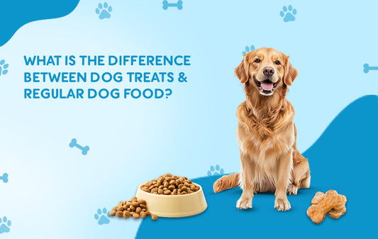 What Is the Difference Between Dog Treats and Regular Dog Food?