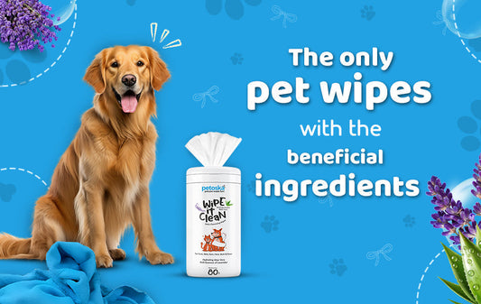 are pet wipes safe 