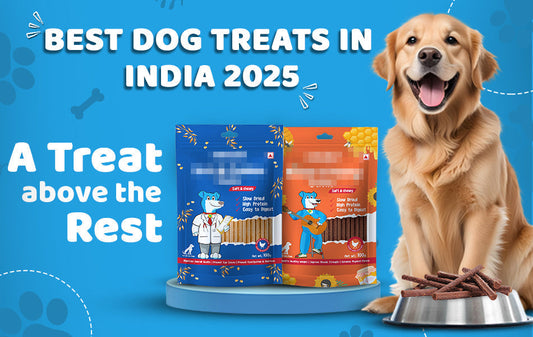 best dog treats in India 2025