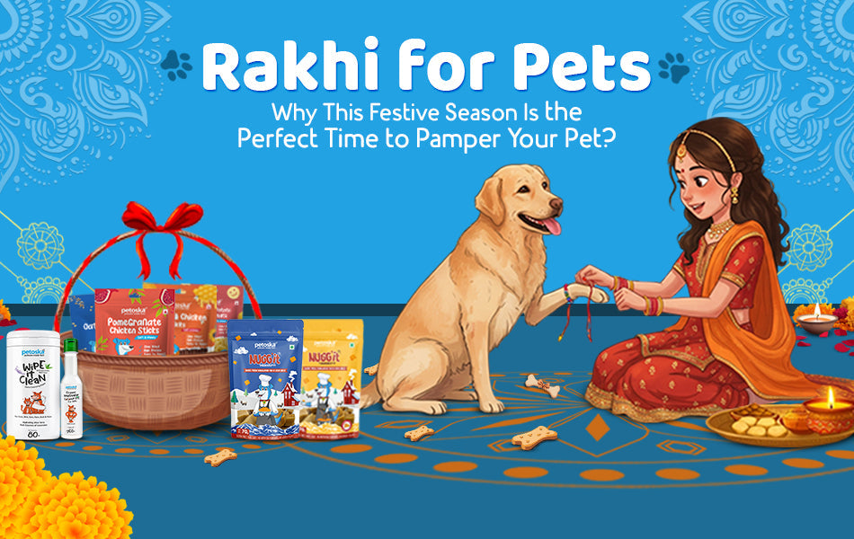 pet gifts for rakhi