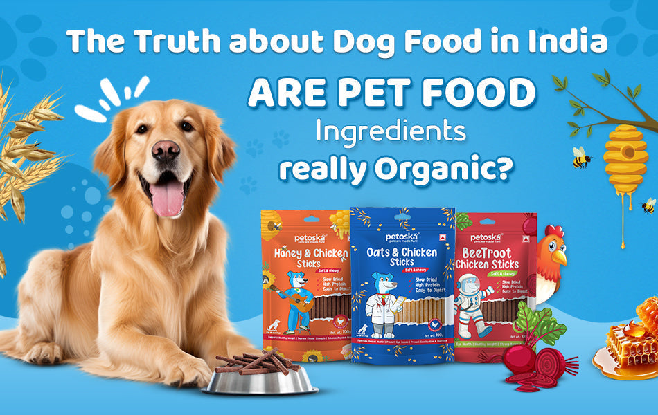 best dog treats in india