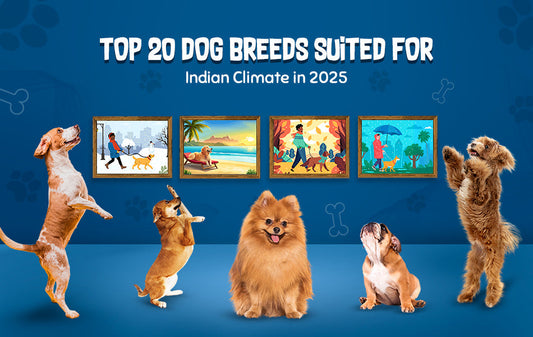 dog breeds from india