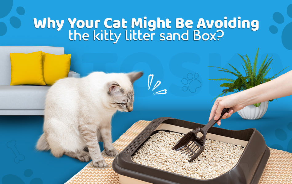 clumping litter for cats