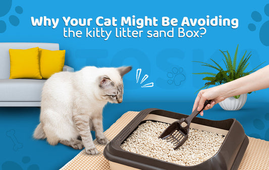 clumping litter for cats