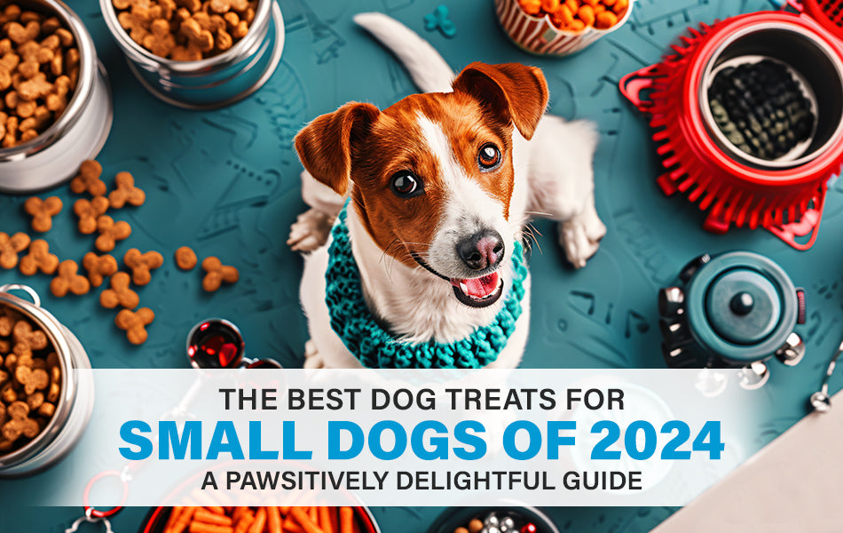 best dog treats