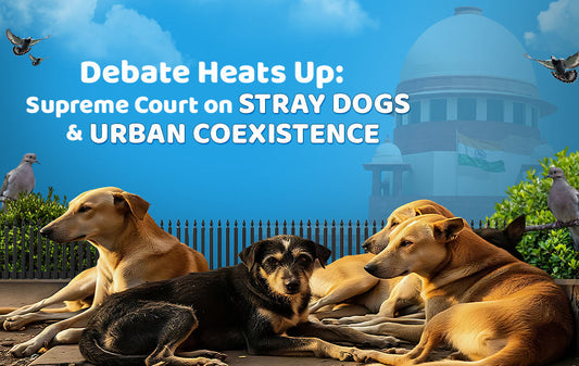 supreme court on stray dogs