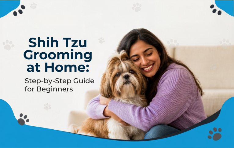 Shih Tzu Grooming at Home: Step-by-Step Guide for Beginners