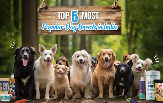 Popular dog breeds in India