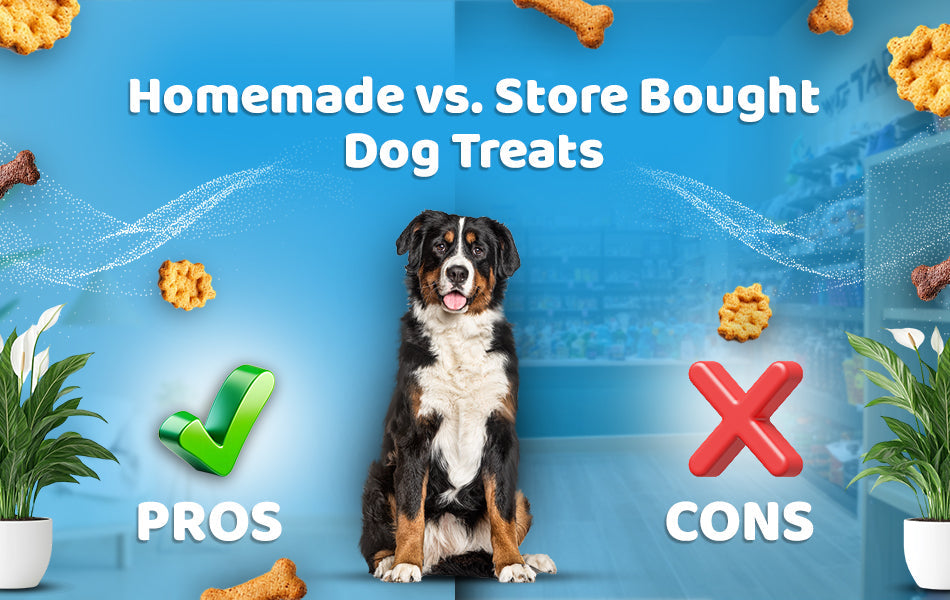 healthiest store bought dog treats