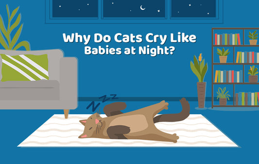 cats crying meaning