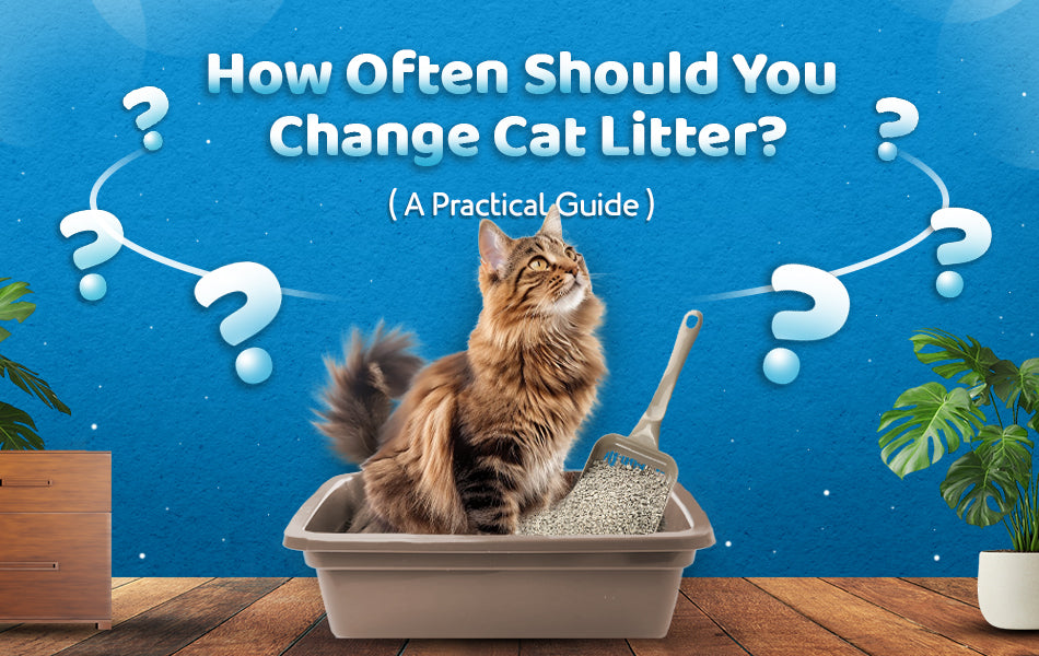 How often should you change cat litter