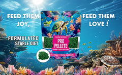 Petoska Pro Pellets Nutrient-Rich Turtle & Tortoise Food - 450gms