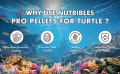 Petoska Pro Pellets Nutrient-Rich Turtle & Tortoise Food - 450gms