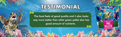 Petoska Pro Pellets Nutrient-Rich Turtle & Tortoise Food - 450gms