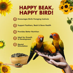 Nutribles Sunflower Seeds for Birds - 450 Gm (Pack of 1)| Premium Bird Food | Superfood for Lovebirds, Cockatiels, Sun Conure, African Grey Parrot, Amazon Macaw Parrot, Cockatoo