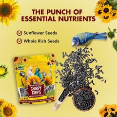 Nutribles Sunflower Seeds for Birds - 450 Gm (Pack of 1)| Premium Bird Food | Superfood for Lovebirds, Cockatiels, Sun Conure, African Grey Parrot, Amazon Macaw Parrot, Cockatoo