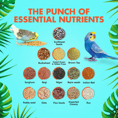 Nutribles Budgie Bonanza- 450GMS | Assorted Superseeds for Birds | Superfood for Birds | Budgie Food | Small Parrot Feed |16 Healthy Super Seeds Mix | Natural & Wholesome Ingredients