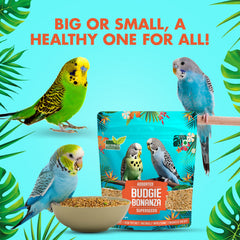 Nutribles Budgie Bonanza- 450GMS | Assorted Superseeds for Birds | Superfood for Birds | Budgie Food | Small Parrot Feed |16 Healthy Super Seeds Mix | Natural & Wholesome Ingredients