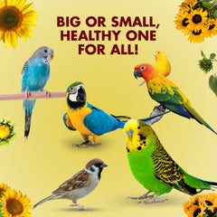 Nutribles Sunflower Seeds for Birds - 450 Gm (Pack of 1)| Premium Bird Food | Superfood for Lovebirds, Cockatiels, Sun Conure, African Grey Parrot, Amazon Macaw Parrot, Cockatoo