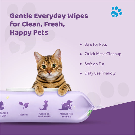 Petoska Pet Wet Wipes-80 Pulls-15x20cm Pack Of 2
