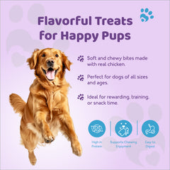 Petoska Dog Treats – Chicken Salami Treats 100g | Smoky & Chewy Protein