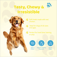 Petoska Dog Treats – Milk & Cheese Stick 100g | Nutritious Treats