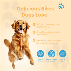 Petoska Chicken Sticks for Dogs Combo – Honey, Oats & Pomegranate (Pack of 3)