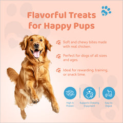 Petoska Dog Treats – Chicken & Pumpkin 100g | Digestive Support