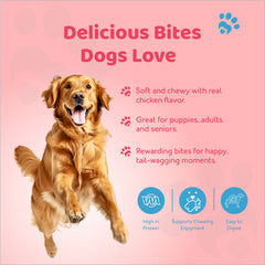 Petoska Dog Treats – Chicken & Pomegranate, 100g | Natural Chewy Sticks