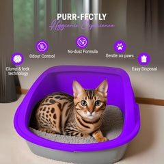 Petoska Activated Cat Litter Quick Clumping Low Dust & Odor Locking for Cats, Lavender & Green Apple, (2 Packs of 5Kg)