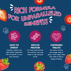 Petoska Chicken Strawberry Dog Treats Chewy Sticks with Real Meat & Fruit Pack Of 2  100gms