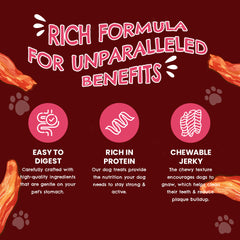 Petoska Chicken Meat Jerky Dog Treats, High-Protein & Dental-Friendly, 100gms