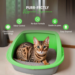 Petoska Activated Cat Litter Quick Clumping Low Dust & Odor Locking for Cats, Unscented & Green Apple, (2 Packs of 5Kg)