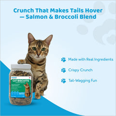 Petoska Crunchy Cat Biscuit Salmon & Broccoli, 250 gms