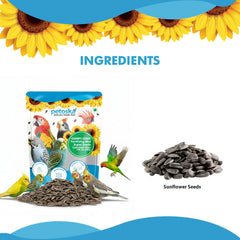 Chirpy Chips Sunflower Seeds for All Birds (450gms)
