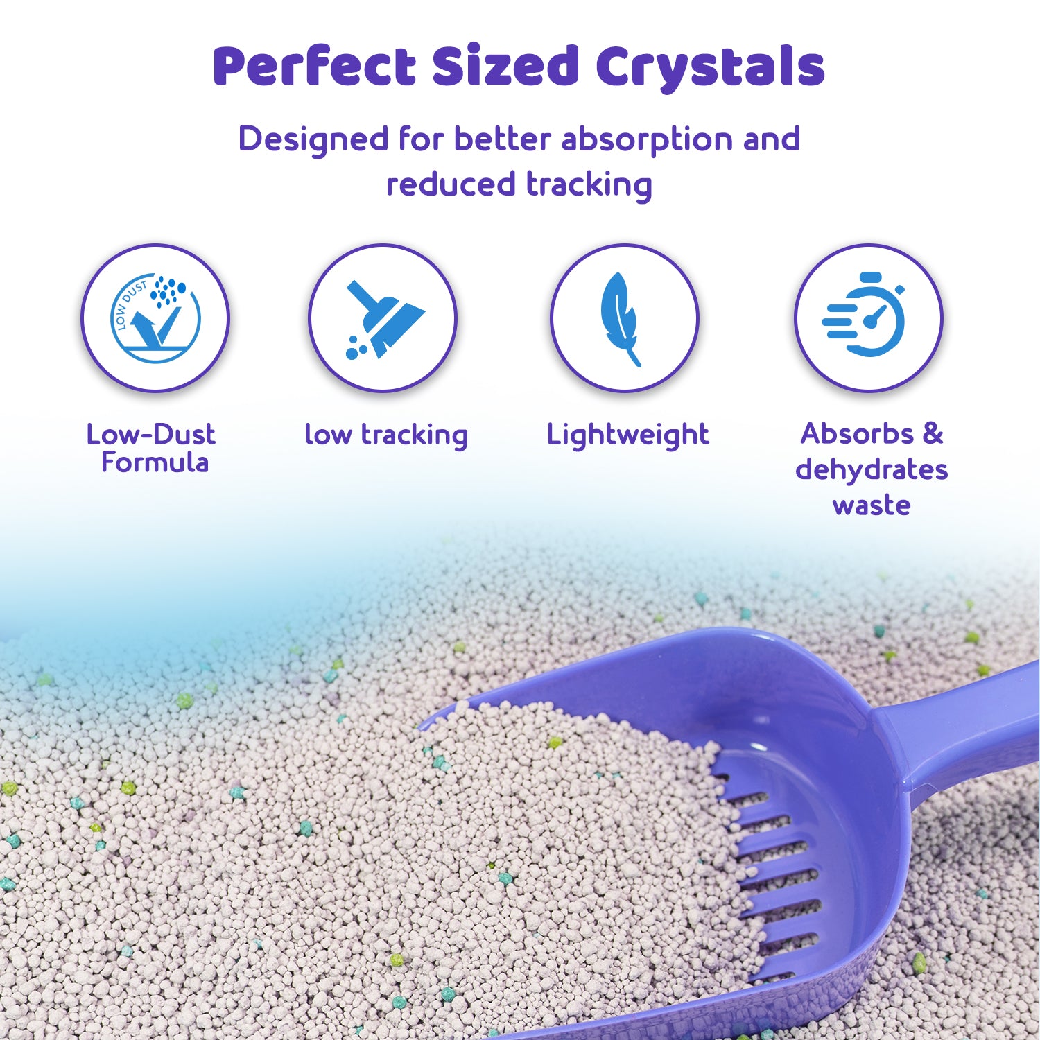 buy cat litter online